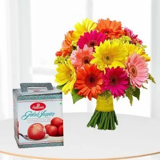 Gerbera Jamun